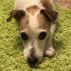 Meet your Posher, Kathrine